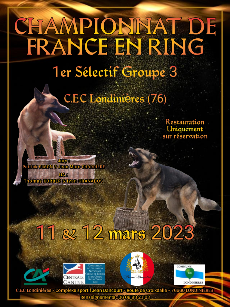 Championnat de France en Ring